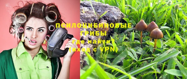 мдпв Кулебаки