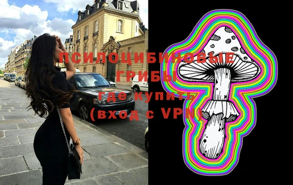 мдпв Кулебаки