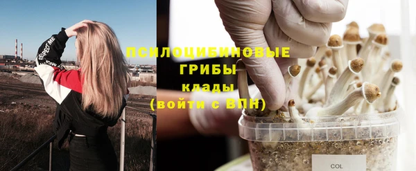 мдпв Кулебаки