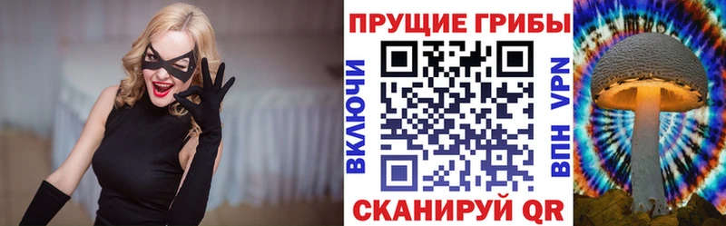 Купить где  Мурманск  Галлюциногенные грибы Cubensis 